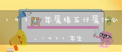 1971年生肖幾歲|1971年出生属什么生肖 1971年属猪是什么命